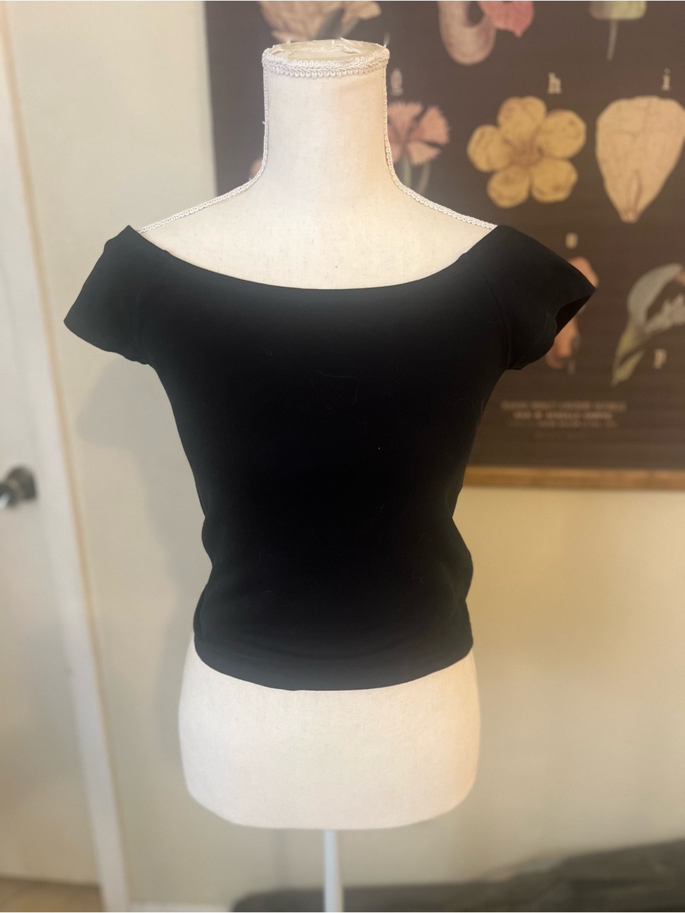 Express One Eleven Off-the-Shoulder Top